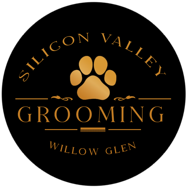 Silicon Valley Grooming